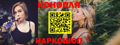 гидра Волгодонск