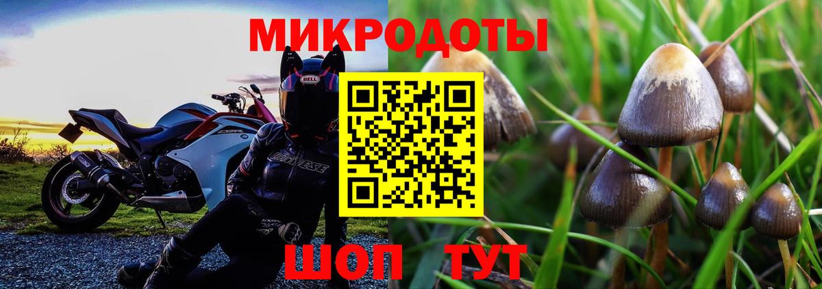 Галлюциногенные грибы Magic Shrooms  Вход с VPN  Искитим 