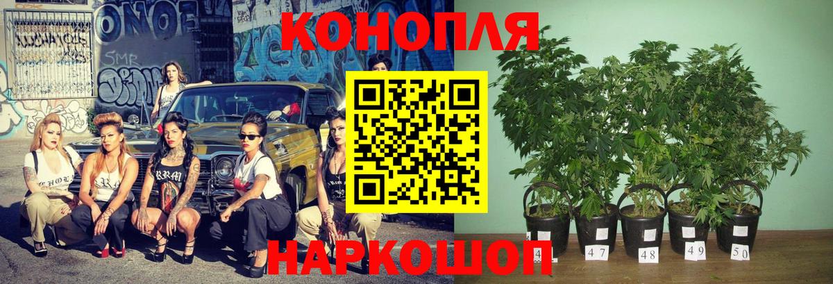 Канабис семена  Канабис Amnesia  Бошки марихуана AK-47  Искитим  Каннабис сатива  Вход с VPN 